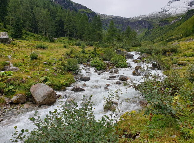 Ein Bach in den Alpen